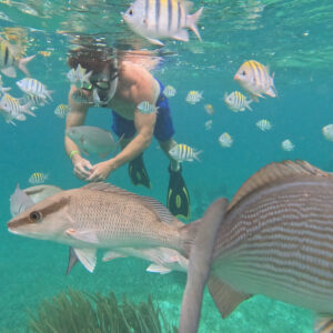 Mexico Rocks, Stingray Alley & Reef Fishing